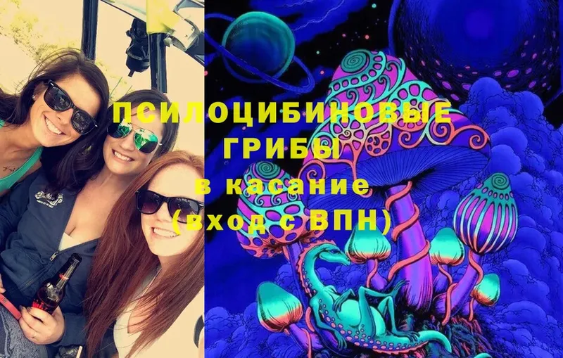 Псилоцибиновые грибы Magic Shrooms Горячий Ключ